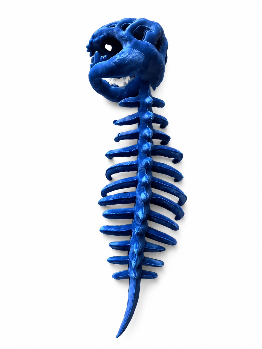 DinoSkele Dog Custume