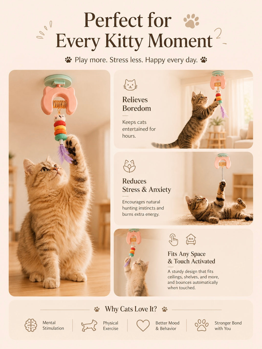 Pet Play Auto Toy