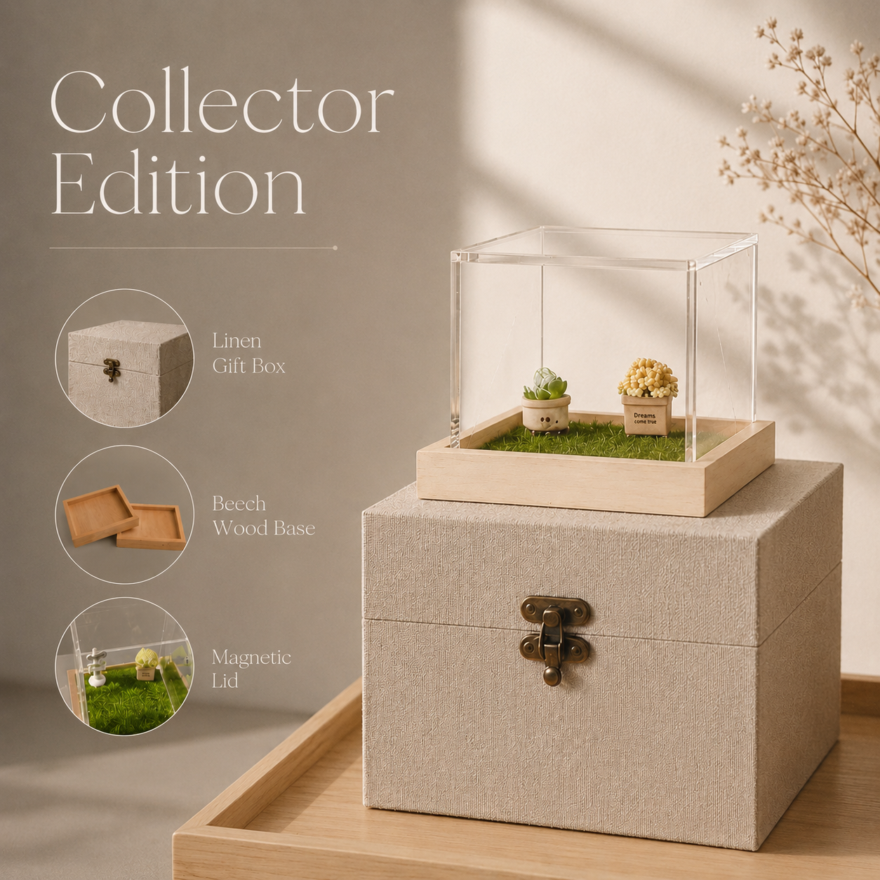 Holographic Pet Memory Box