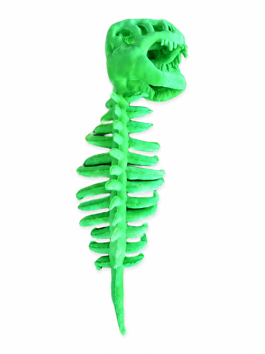 DinoSkele Dog Custume