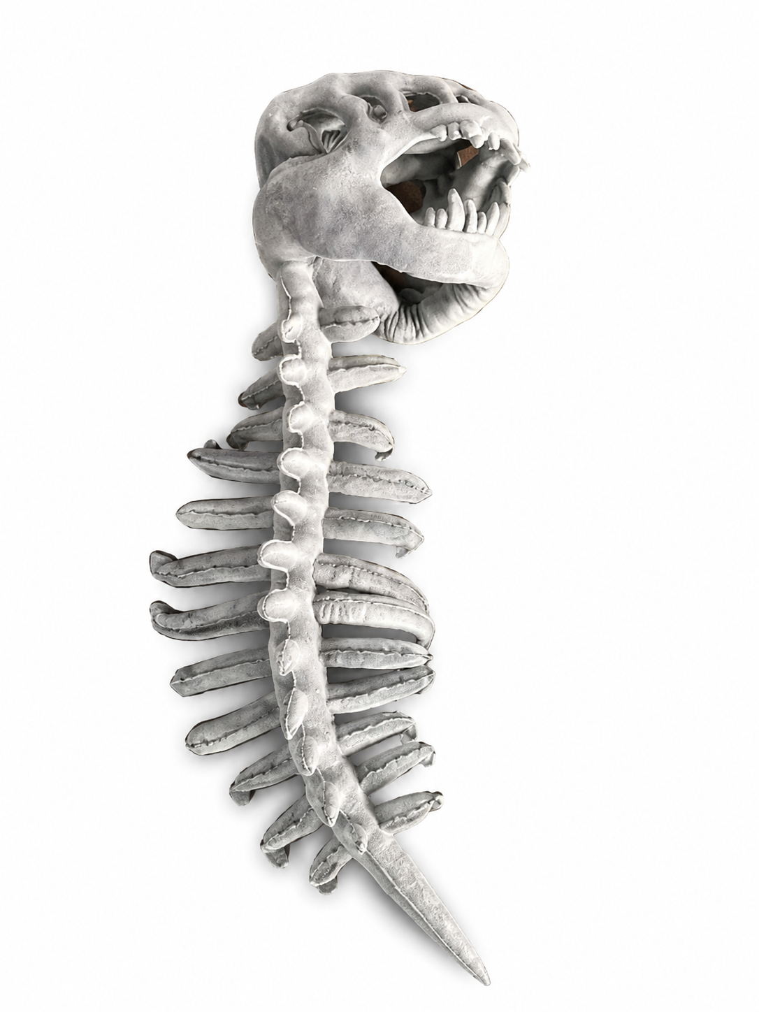 DinoSkele Dog Custume