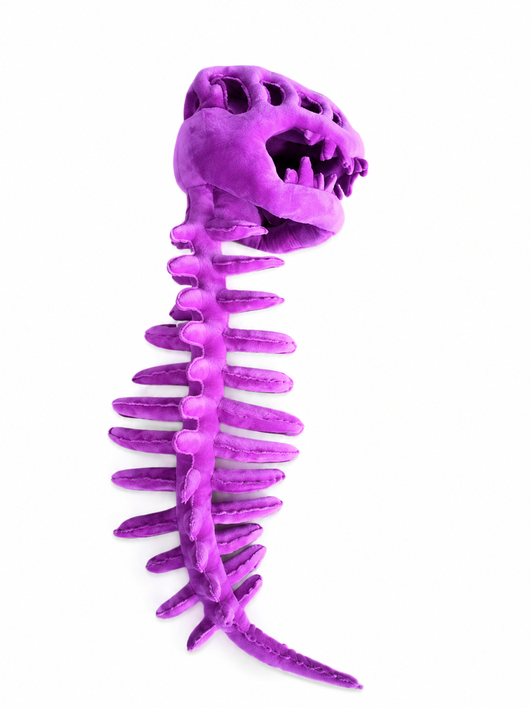 DinoSkele Dog Custume